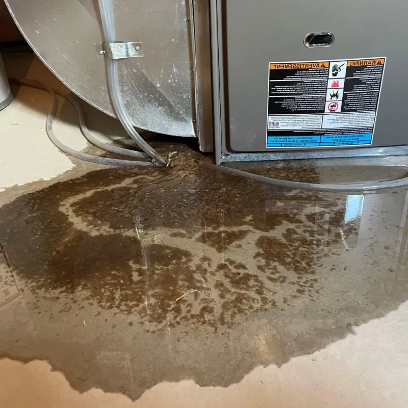 Pipe Burst and Leak Restoration in Edgar, WI