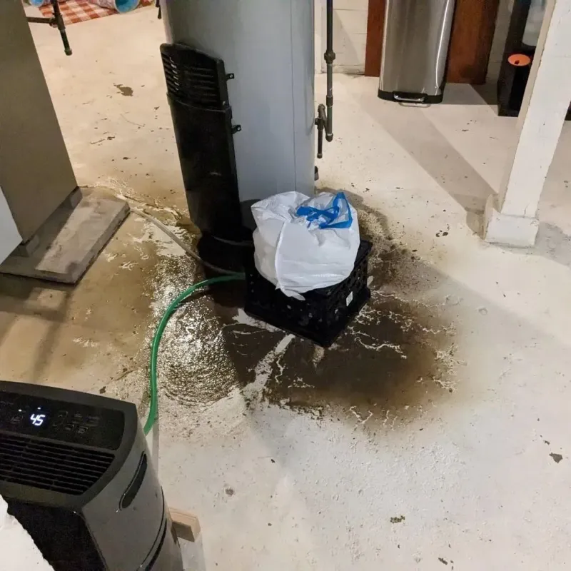 Sewage Backup Cleanup Service in Edgar, WI